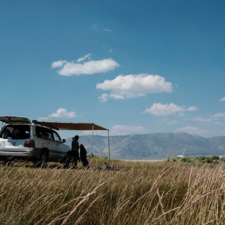 Pull Out Awning